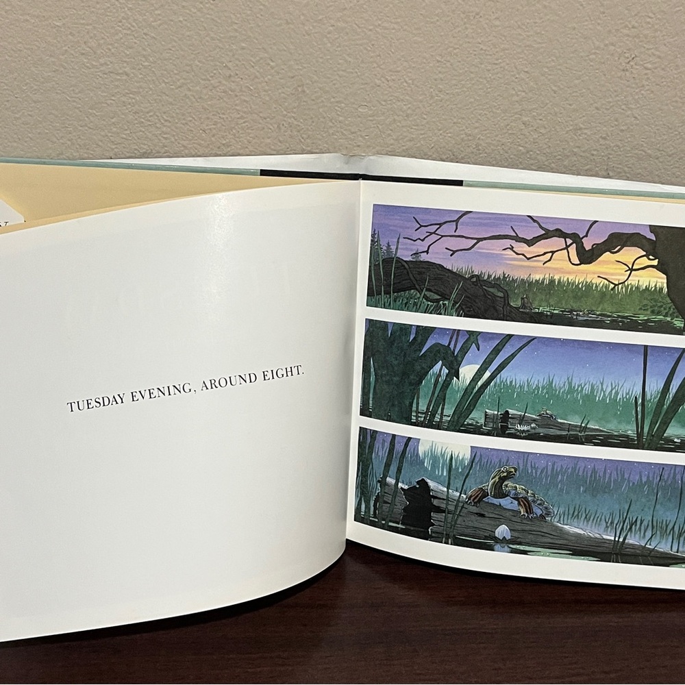 Tuesday by David Wiesner Illustrated Picture Book Hardcover Kids 1991 90s - Picture 8 of 10